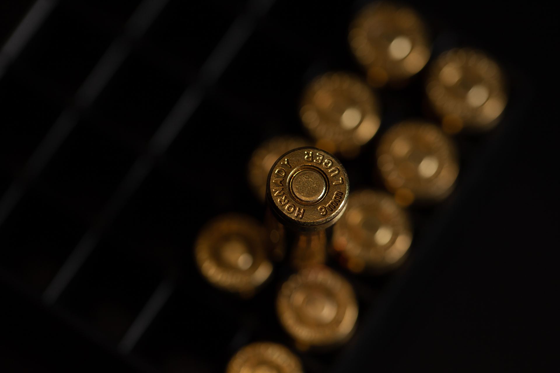 Shotgun Firearms License Renewal